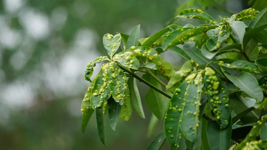 Rain as a Hidden Threat, Not Just a Resource (Image Credits: Unsplash)