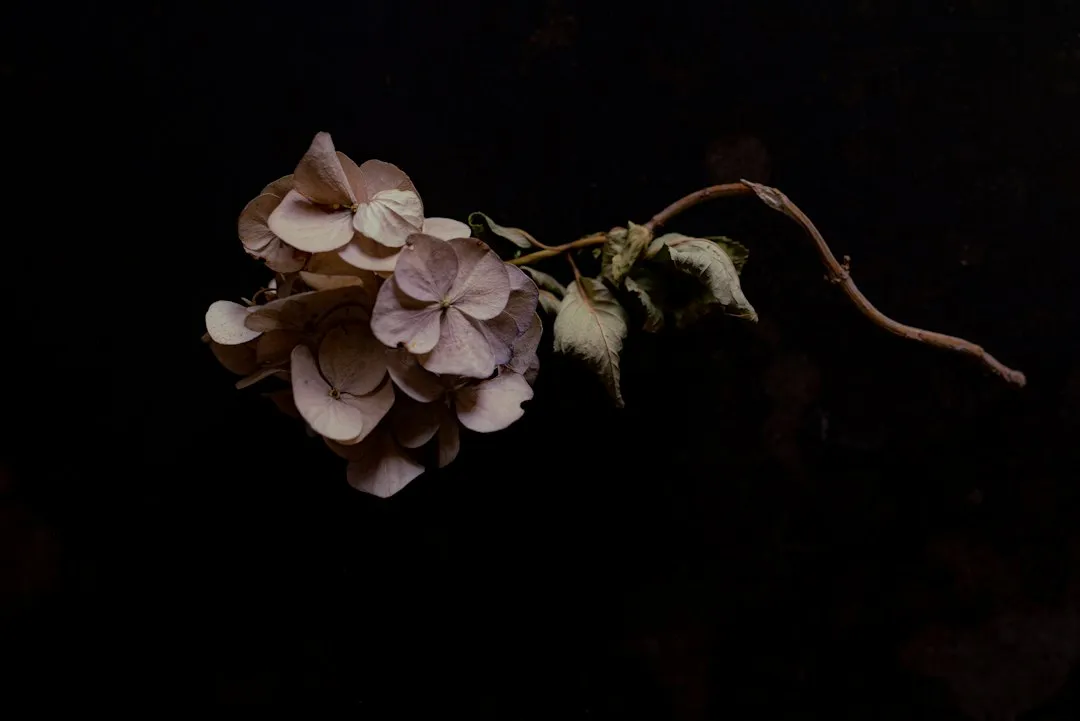 They Give the Winter Garden Real Structure (Image Credits: Unsplash)