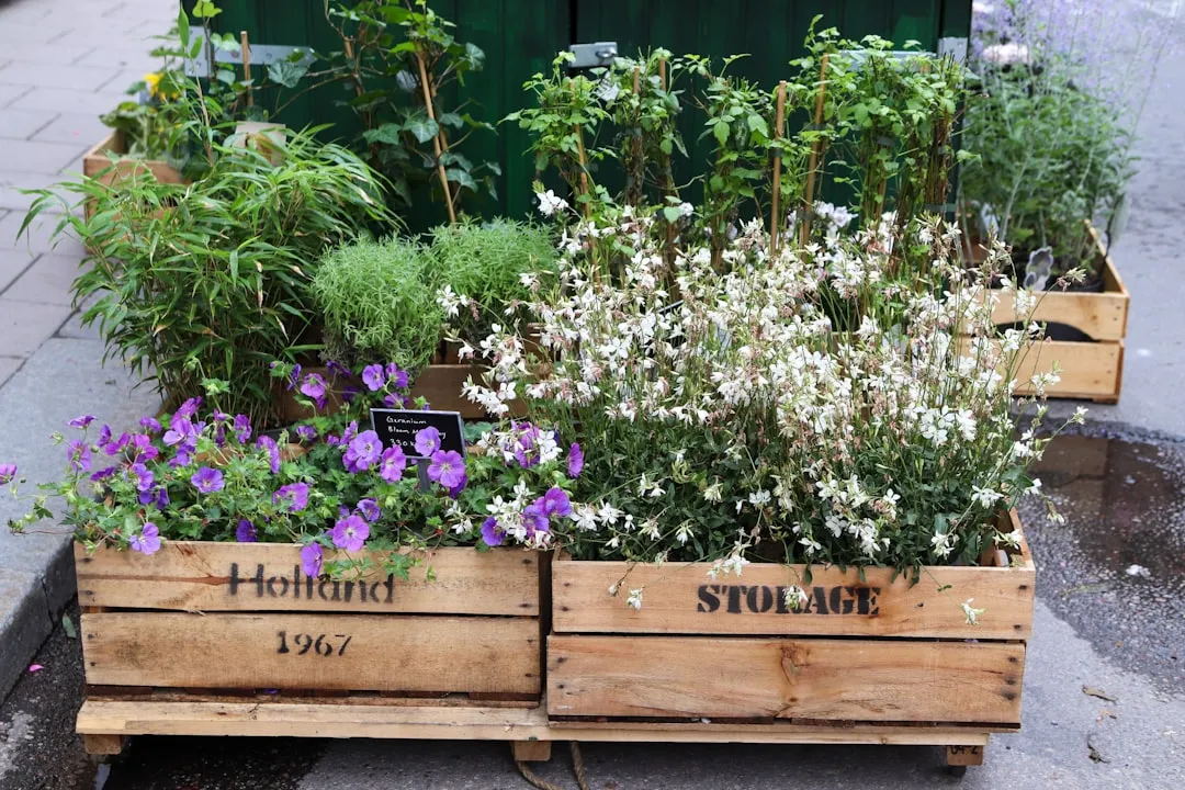 Choosing the Right Herbs for Each Slot (Image Credits: Unsplash)
