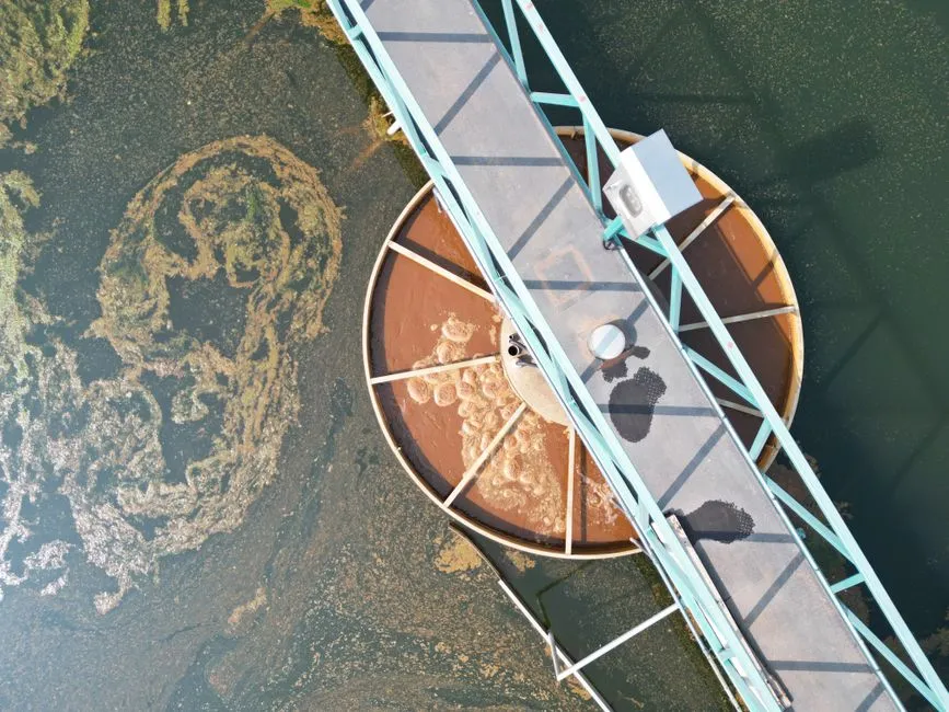 Heavy Metals: The Older, Less Discussed Problem (Image Credits: Pexels)