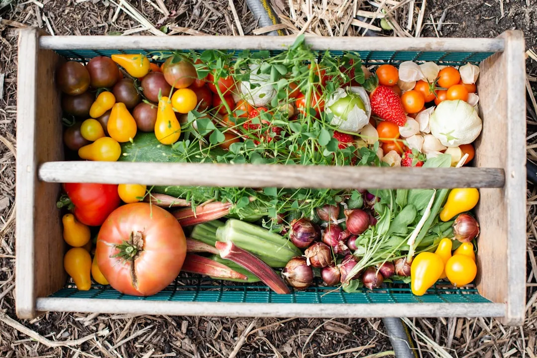 How to Regrow Common Grocery Store Vegetables From Leftover Scraps
