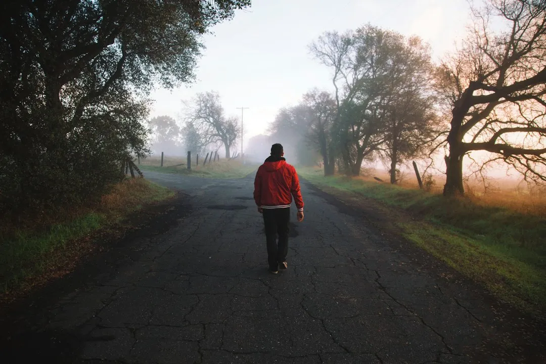 The Takeaway (Image Credits: Unsplash)