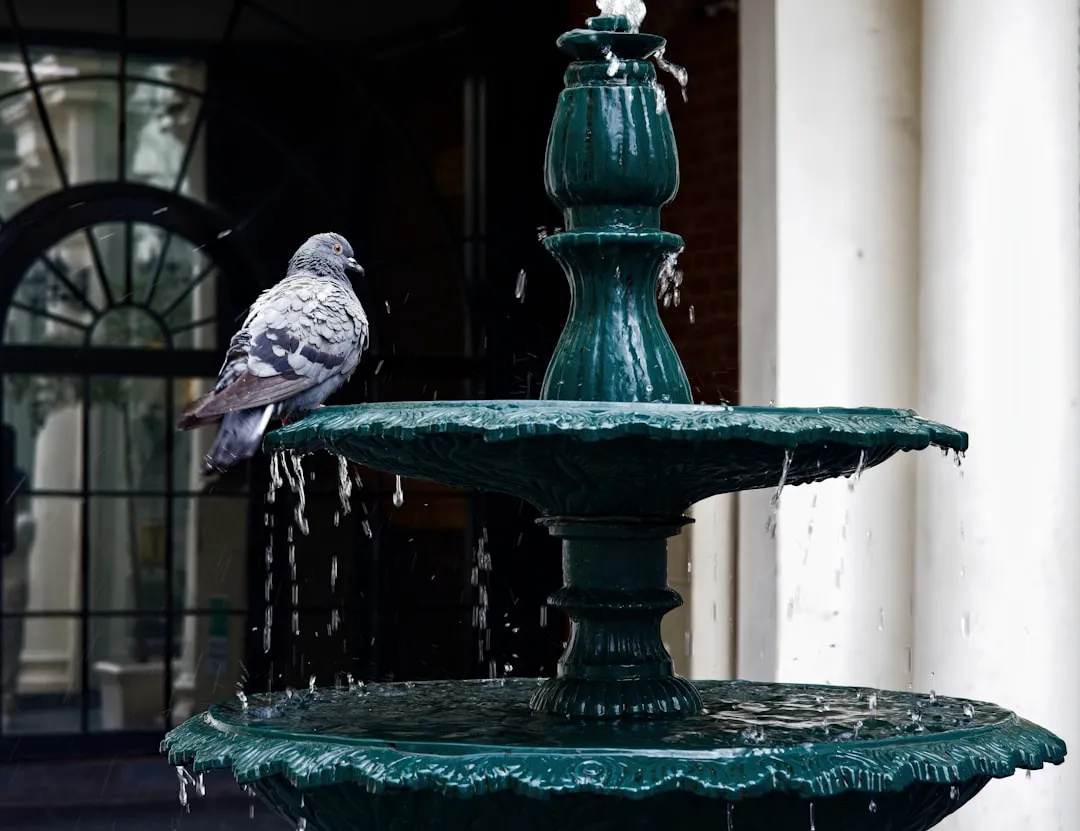 Consistency Teaches Birds to Return (Image Credits: Unsplash)