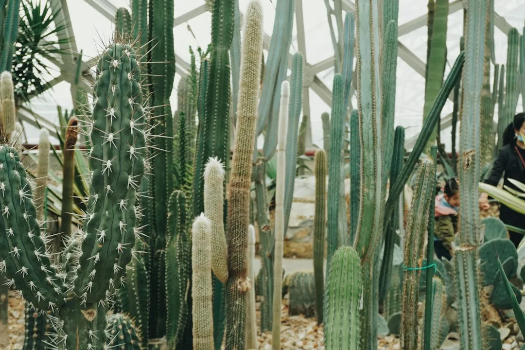 Commercial Growers Control All of This on Purpose (Image Credits: Unsplash)