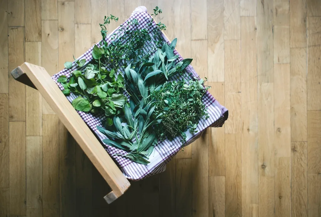 Soil, Drainage, and Containers: The Setup Details That Decide Everything (Image Credits: Rawpixel)