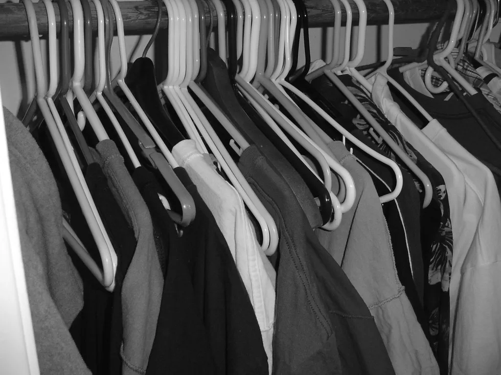 Install a Double Rod for Immediate Hanging Space (aleahey, Flickr, CC BY-SA 2.0)