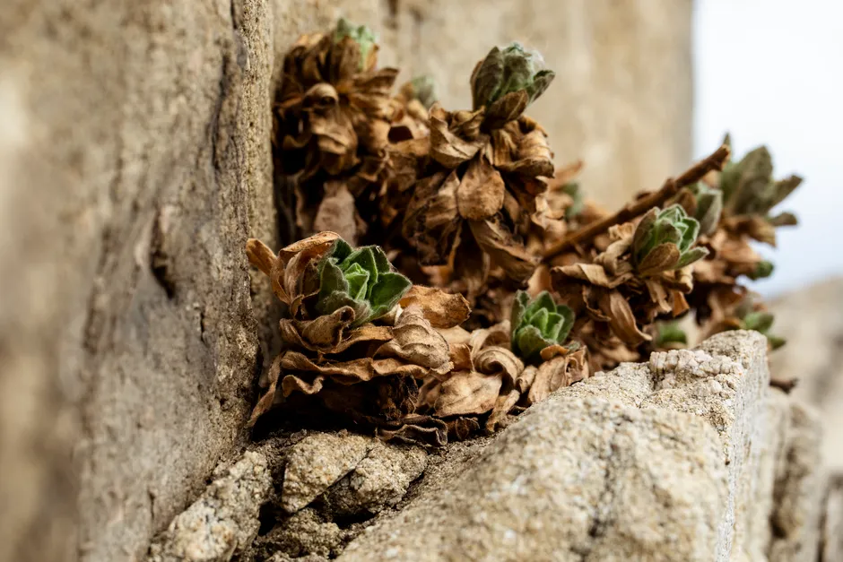 Reading the Aboveground Warning Signs (Image Credits: Pexels)