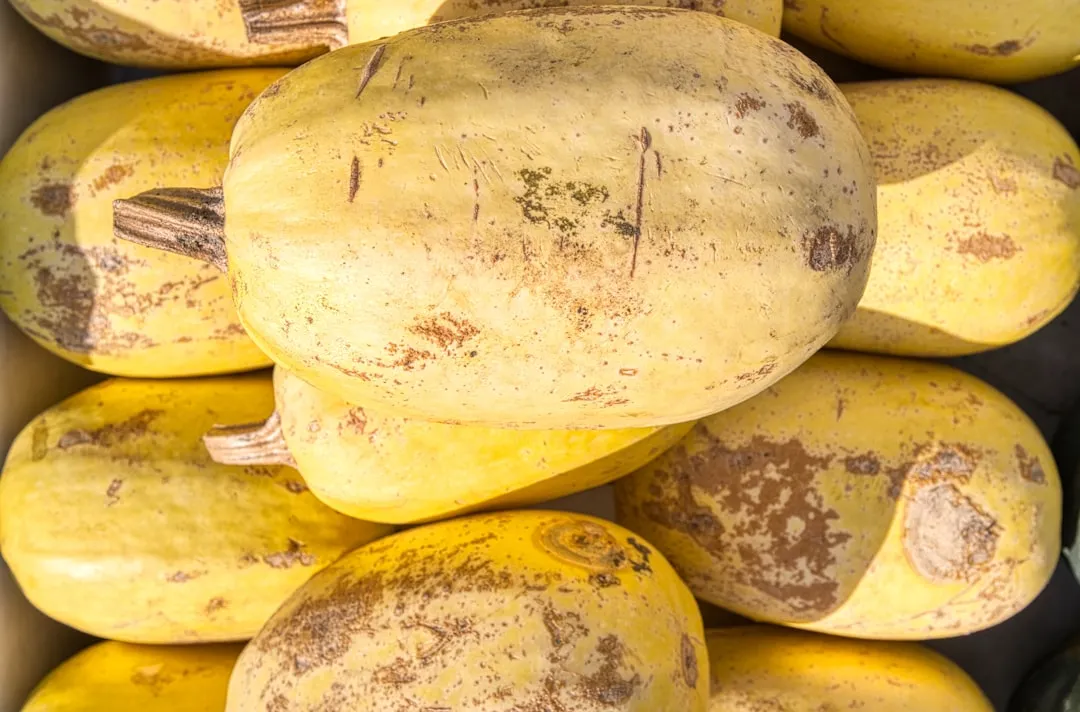Squash and Melons: Bigger Plants, Smaller Footprint (Image Credits: Unsplash)
