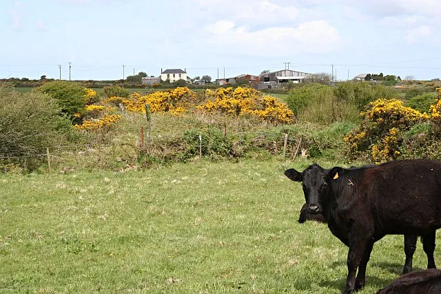 The Regulatory Gap That Allowed This to Grow (From geograph.org.uk, CC BY-SA 2.0)