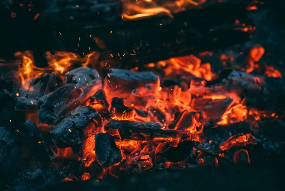 Why Your Old Fireplace Charcoal Is the Secret Weapon for Perfect Garden Drainage