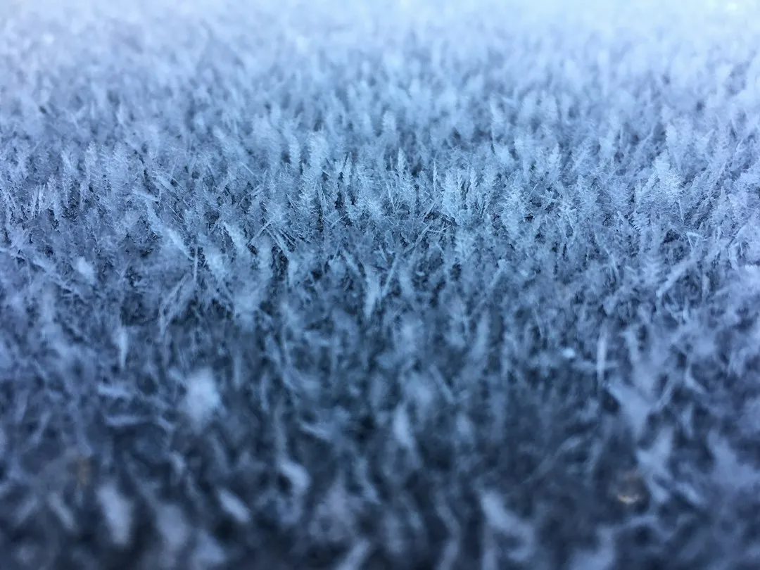 Don't Mow Frosted or Frozen Grass (Image Credits: Unsplash)