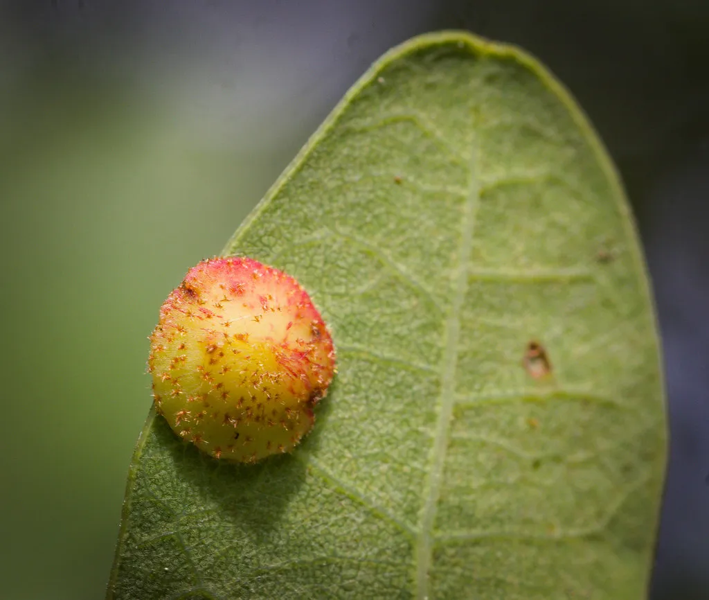 The Takeaway (hedera.baltica, Flickr, CC BY-SA 2.0)
