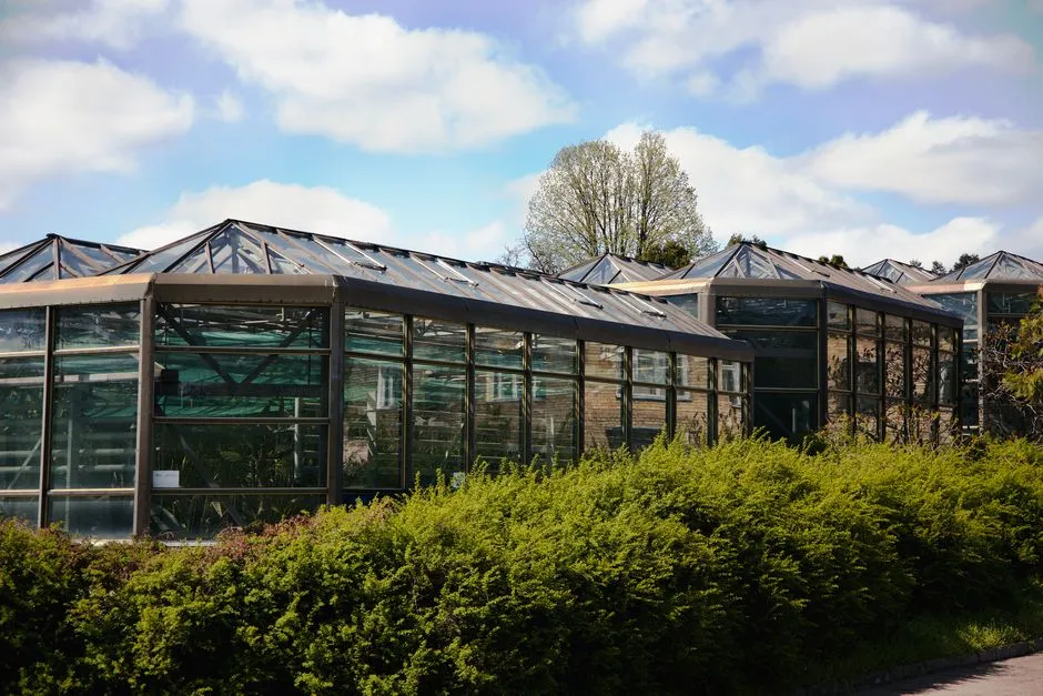 What Exactly Is an Underground Greenhouse? (Image Credits: Pexels)