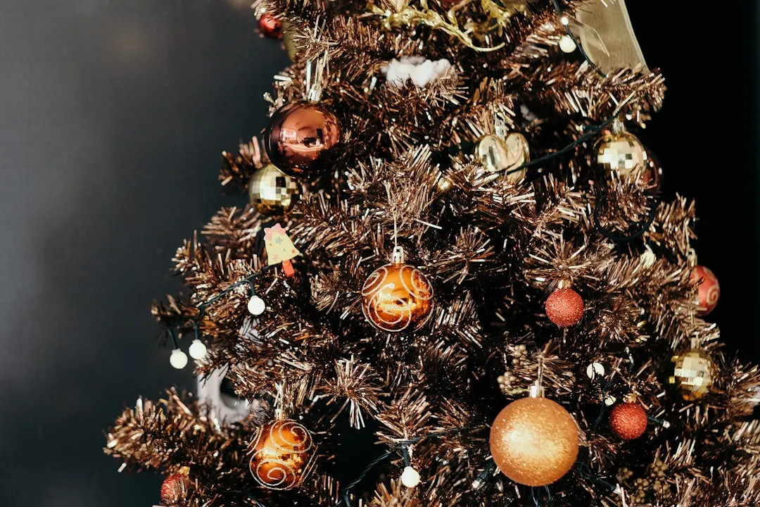 The Science of a Drying Tree (Image Credits: Unsplash)