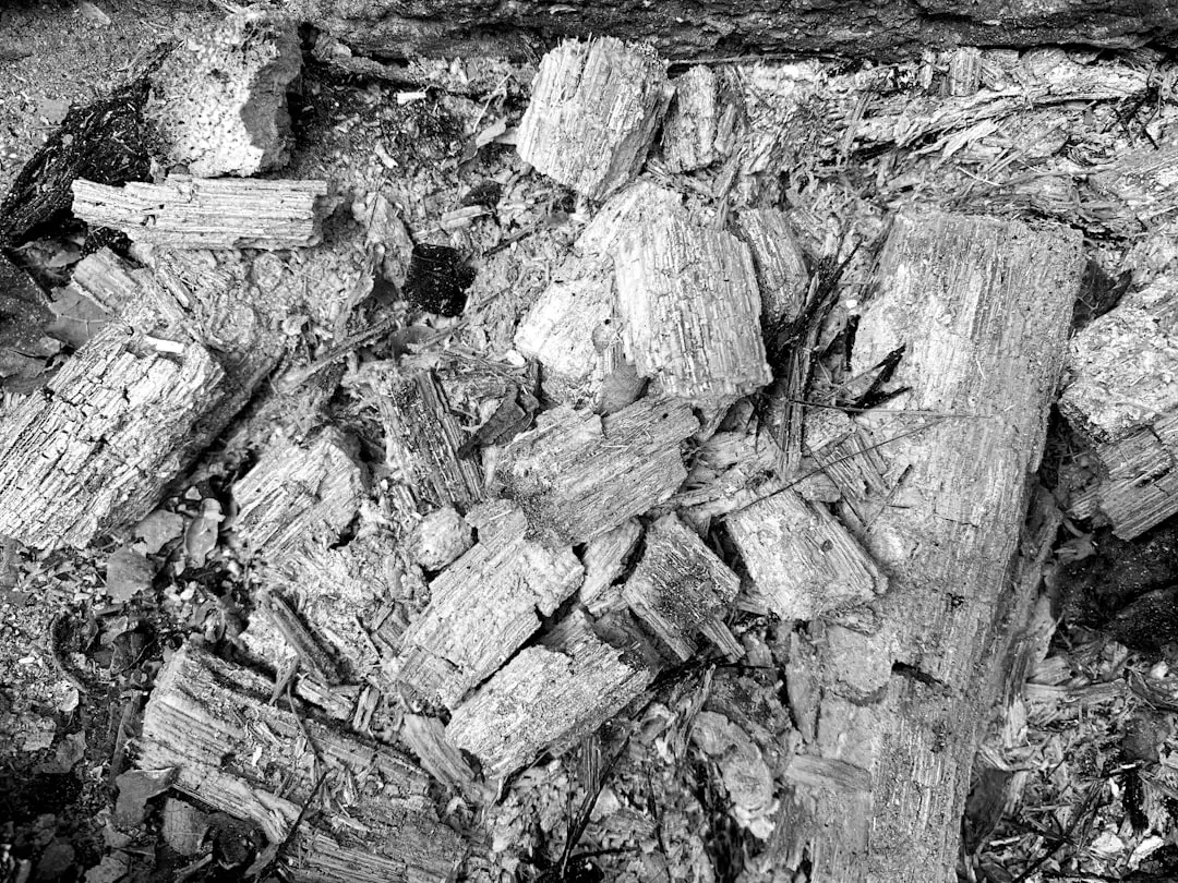 Wood Ash Was a Surprisingly Effective Soil Amendment (Image Credits: Unsplash)