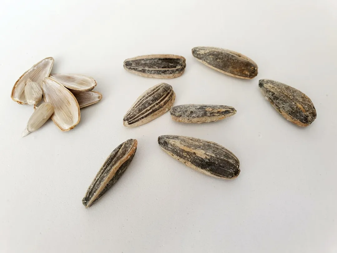 5. Almonds and Sunflower Seeds: Vitamin E Against Free Radical Damage (Image Credits: Unsplash)