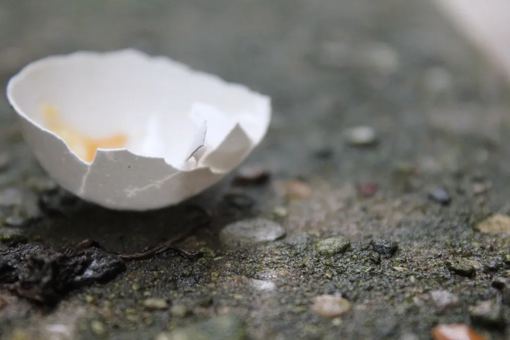 The Real Chemistry Behind the Shell (quinn.anya, Flickr, CC BY-SA 2.0)