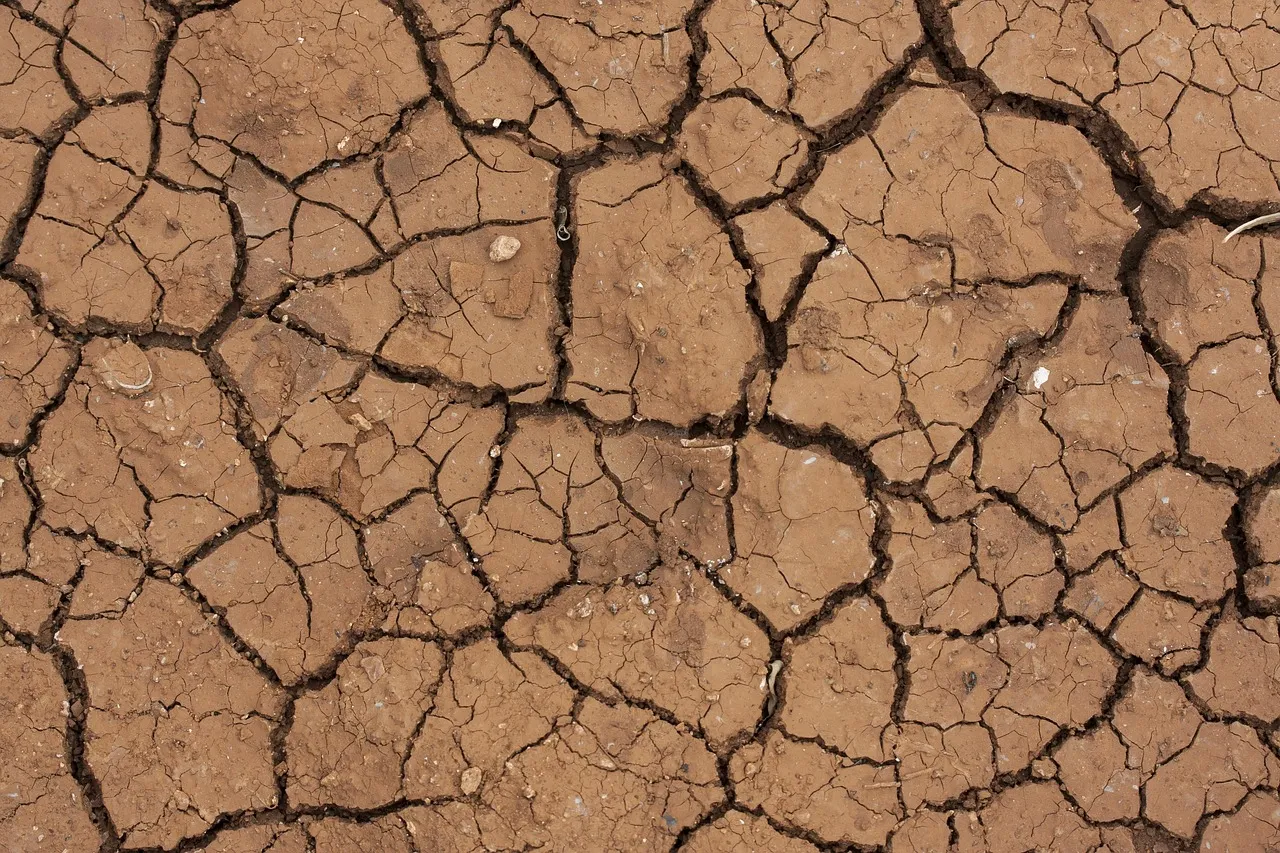 The Science Consistently Favors Soil Conditions Over Speed (Image Credits: Pixabay)