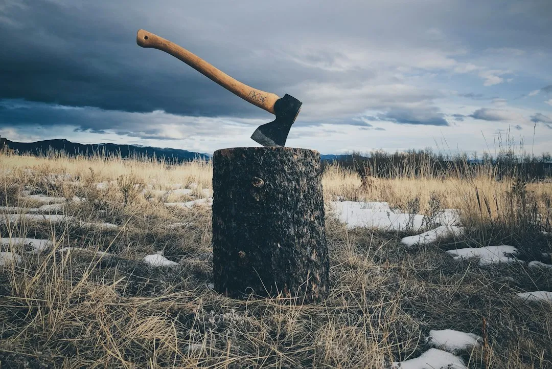 5. The Lumberjack: Wearing What You Already Own (Image Credits: Unsplash)