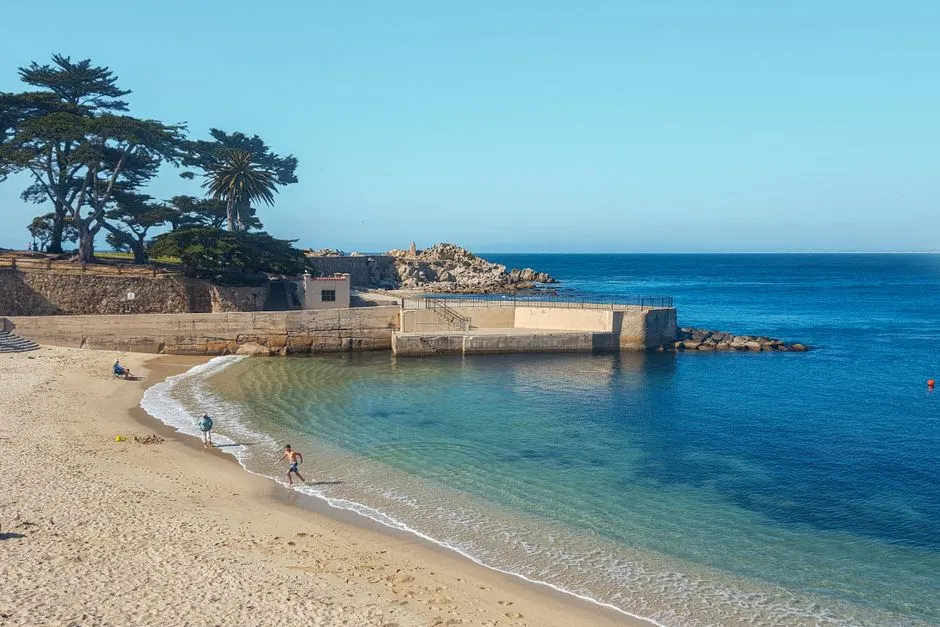 Understanding Monterey's Microclimate Before You Plant (Image Credits: Pexels)