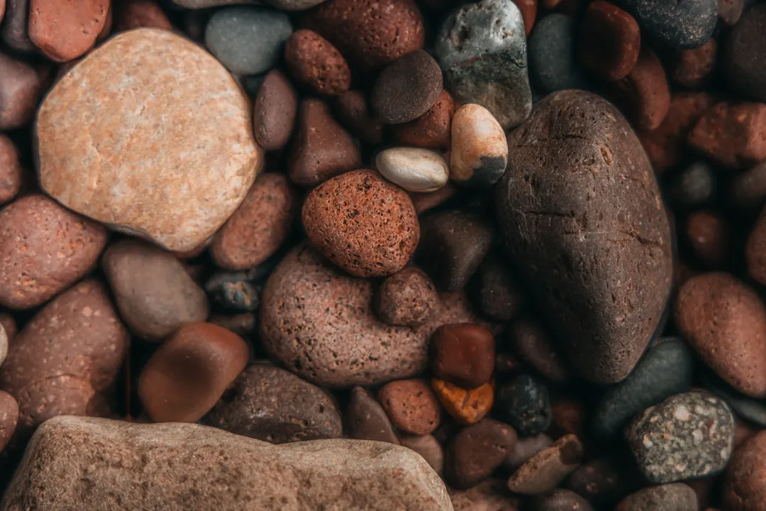 The Color Trends AI Draws From (Image Credits: Unsplash)