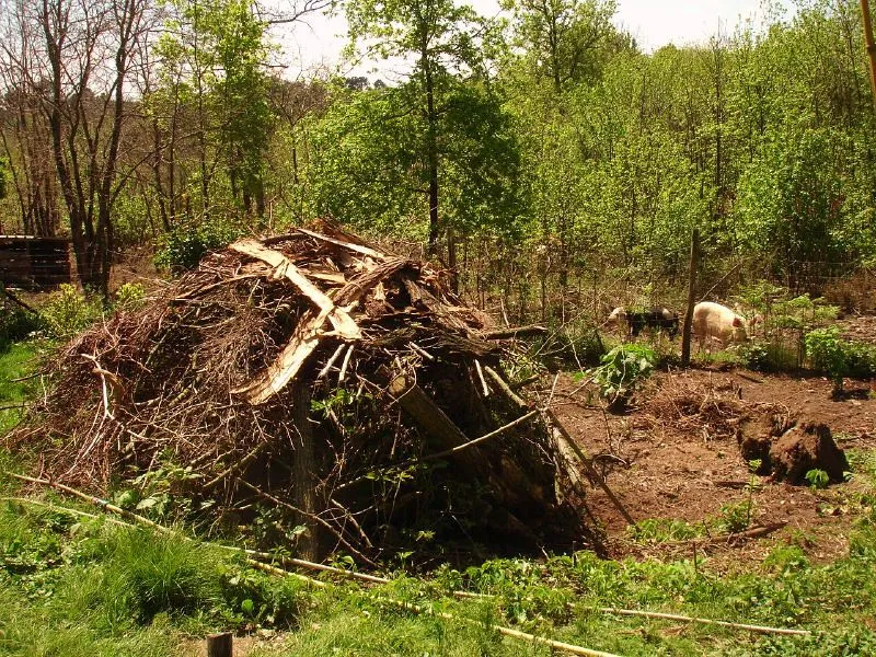 I Stopped Following a Calendar and Started Watching the Garden (hardworkinghippy : La Ferme de Sourrou, Flickr, CC BY-SA 2.0)