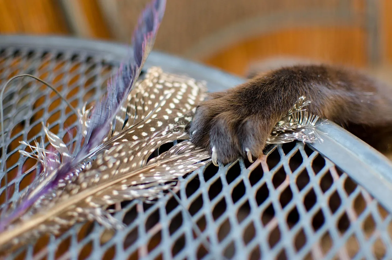 It Starts with a Hunting Sequence That Never Quite Switched Off (Image Credits: Pixabay)