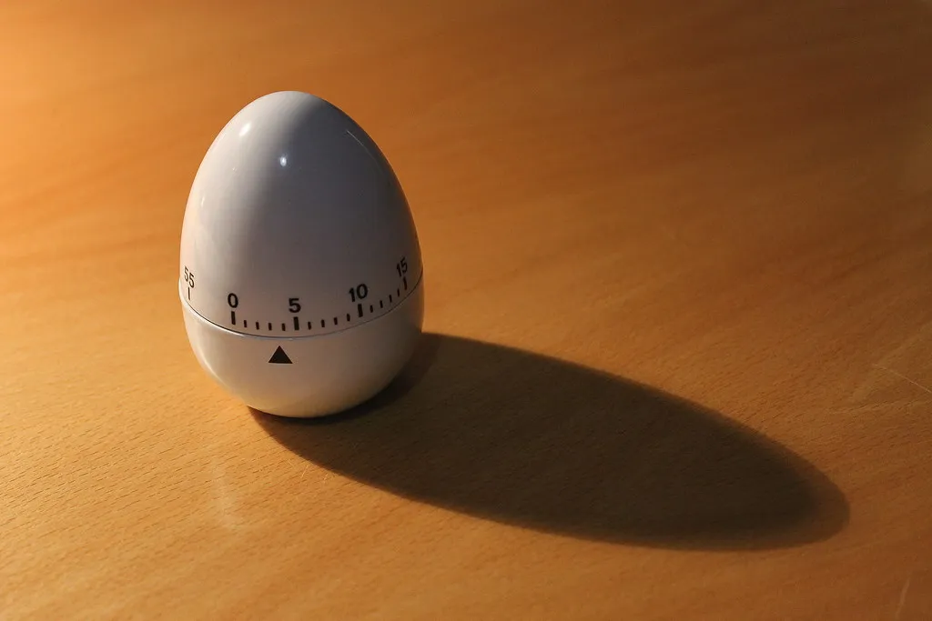 The German Porcelain Figurine Timer (barbourians, Flickr, CC BY-SA 2.0)