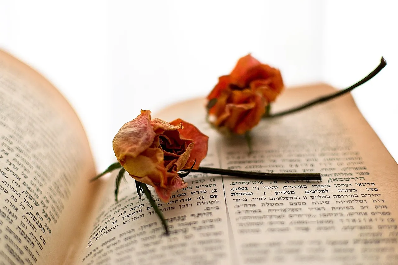 Your Brain Is Wired to Remember This Smell (Image Credits: Pixabay)