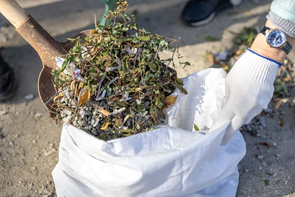 Spring Is the Right Time to Clean Up, Not Autumn (Image Credits: Pexels)