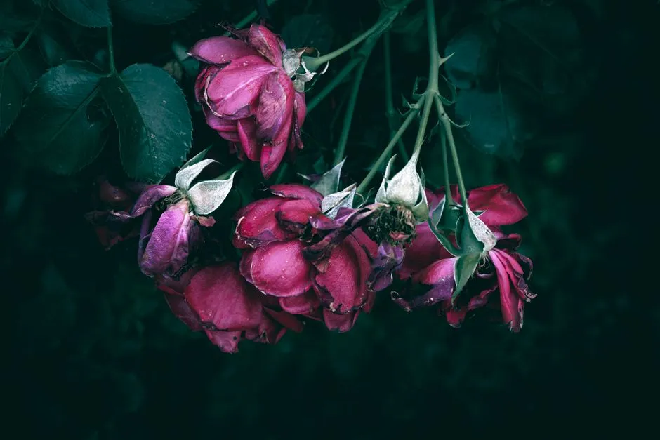 The Takeaway (Image Credits: Pexels)