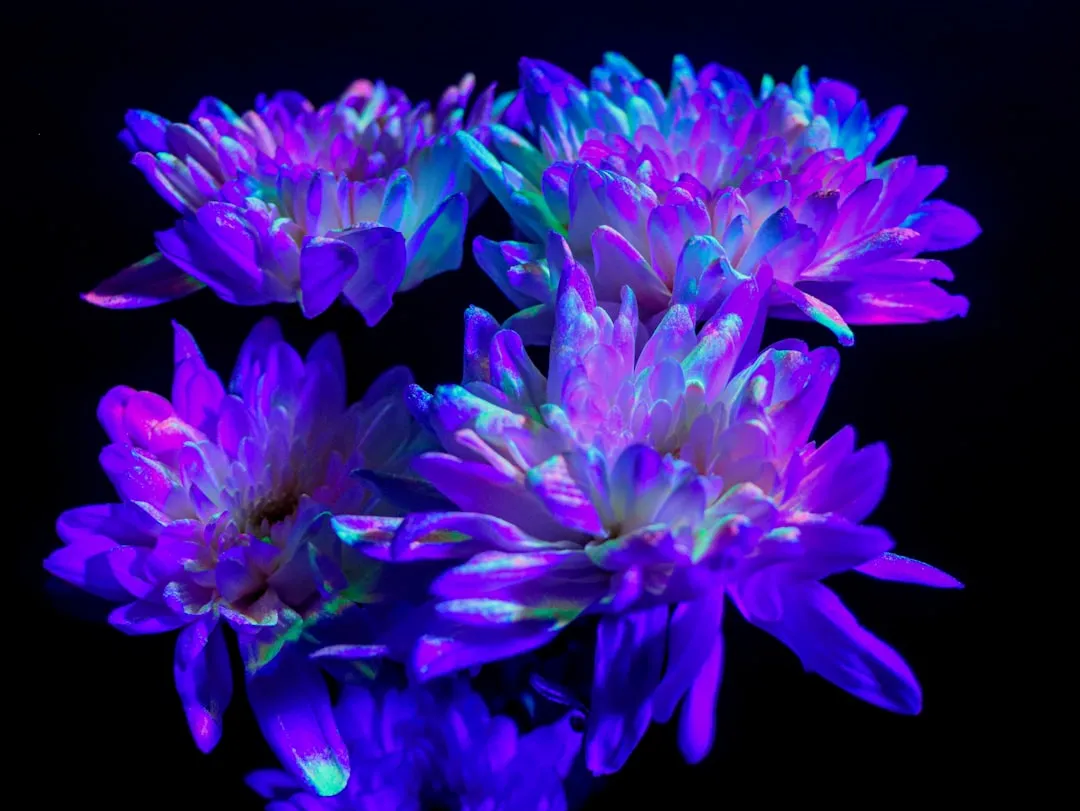 Age, Stress, and How Fluorescence Changes Over Time (Image Credits: Unsplash)