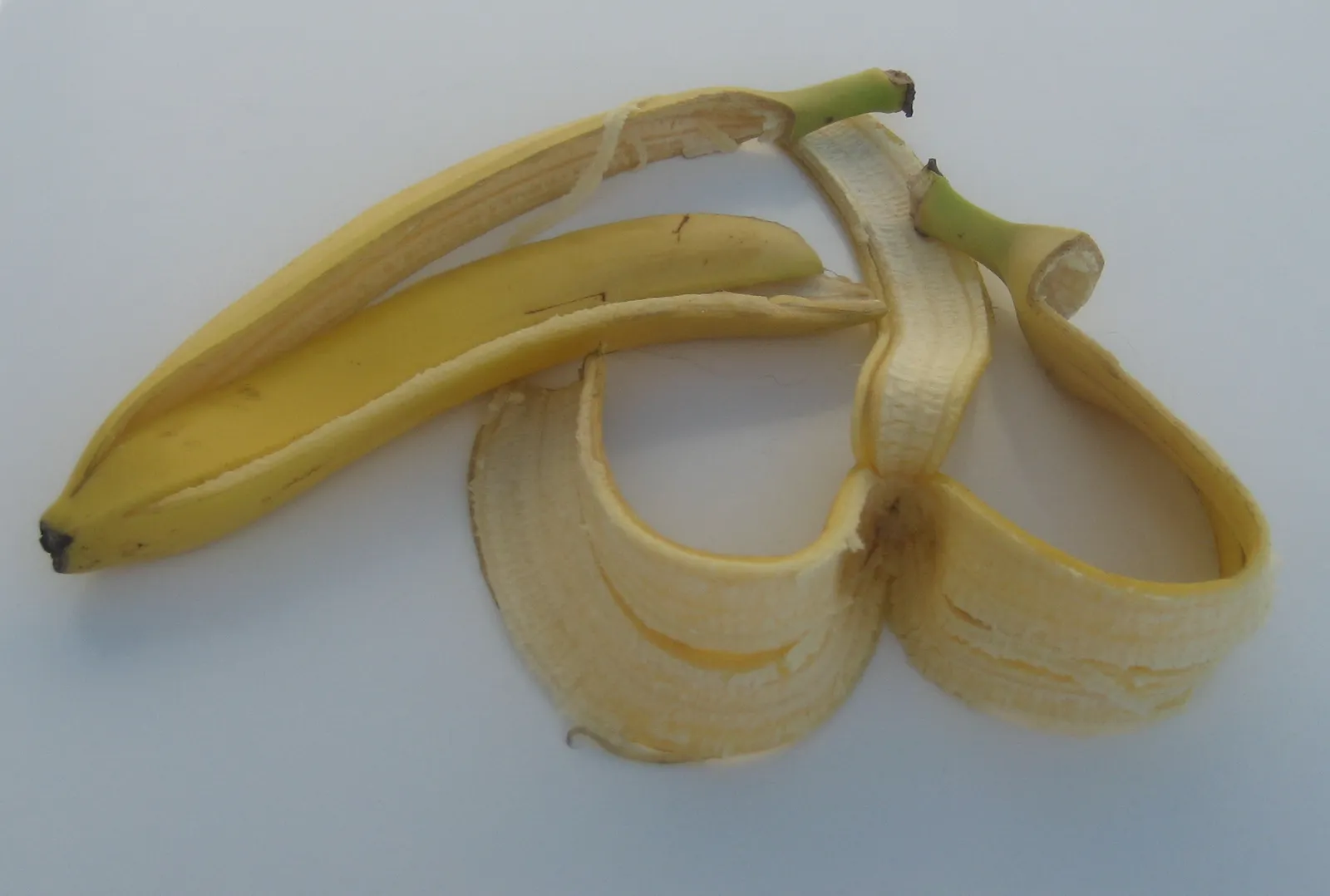 The Science Behind the Claim (photo taken by de:Benutzer:Priwo, Public domain)