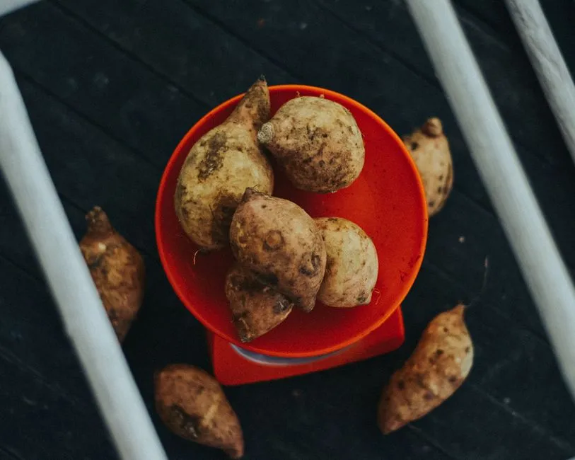 How Consistently Eating These Foods Makes a Difference (Image Credits: Pexels)
