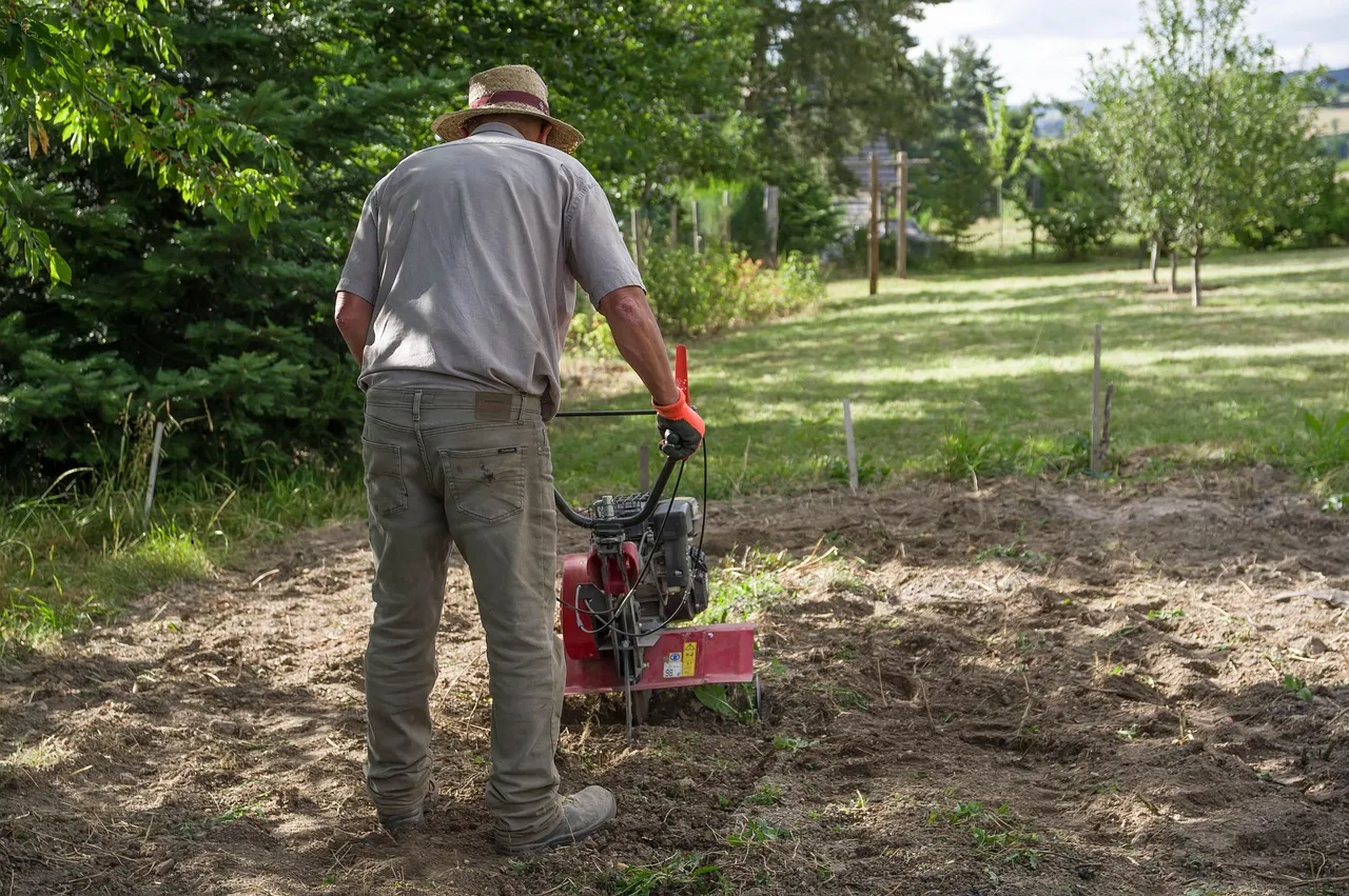 Tilling the Soil to "Clean It Up" (Image Credits: Pixabay)