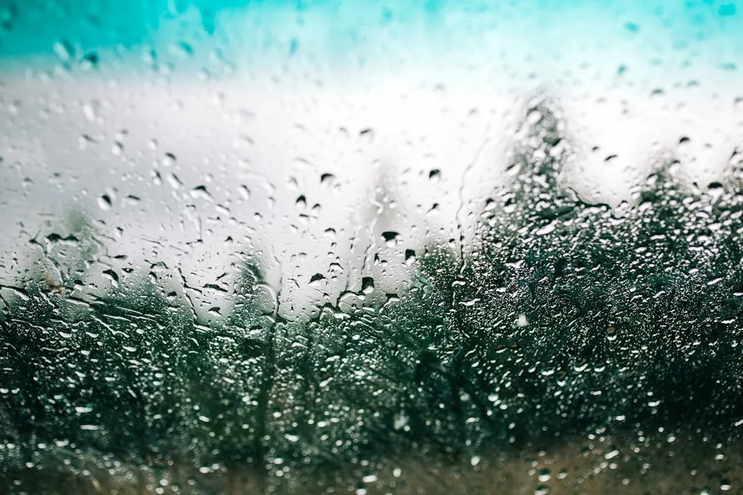 It All Comes Down to the Dew Point (Image Credits: Unsplash)