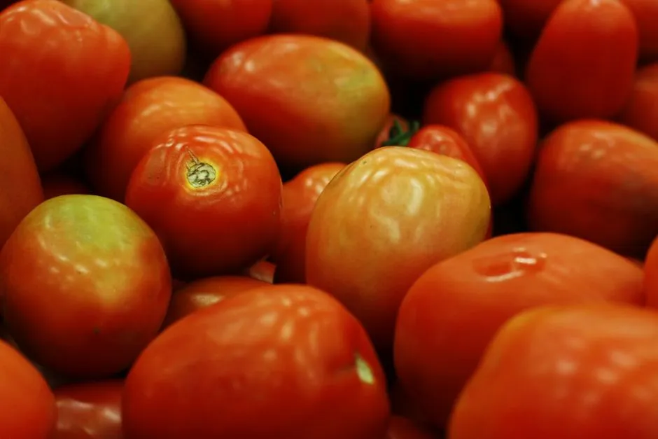The Science Behind Calcium and Tomato Health (Image Credits: Pexels)