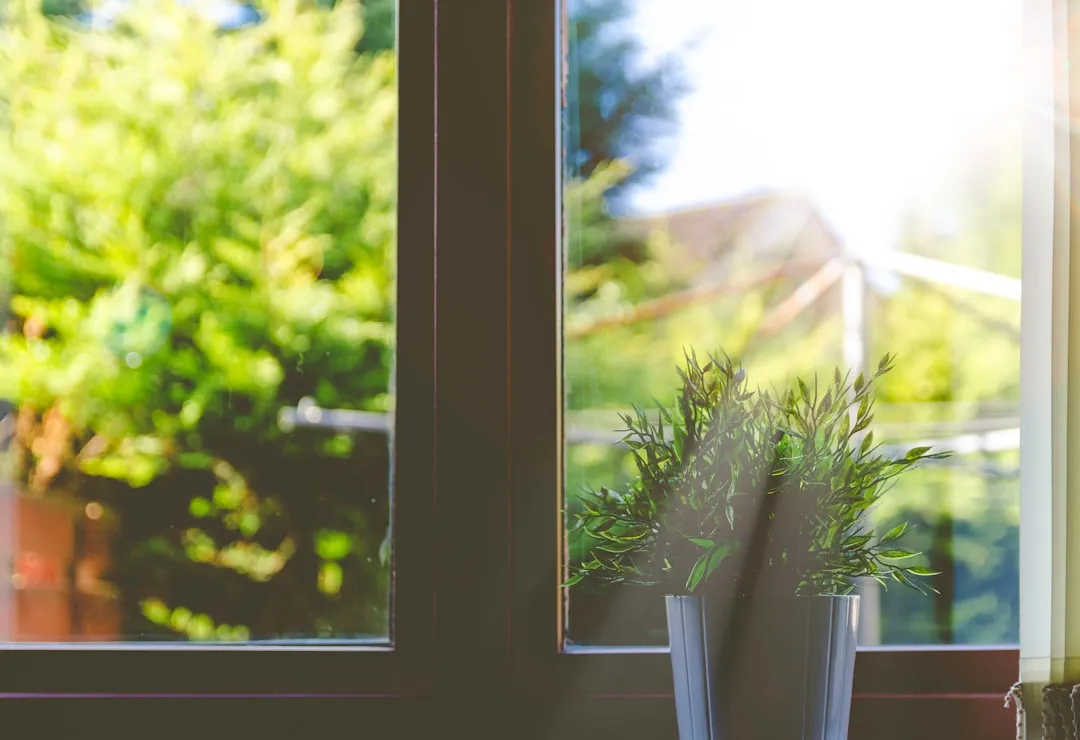 Color, Light, and the Design of Calm (Image Credits: Unsplash)