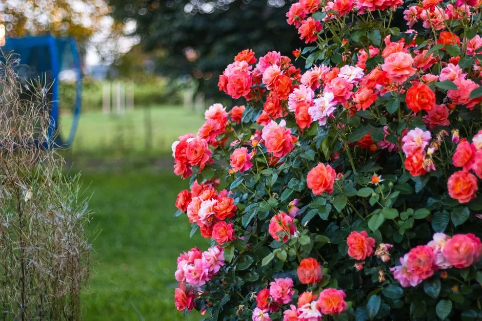 They're Feeding Smarter, Not Just More (Image Credits: Pexels)