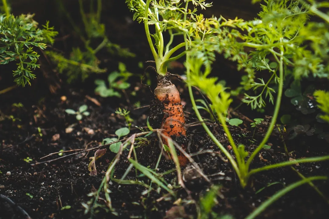 Rule 8: Time Your Sowing and Keep Germination Conditions Right (Image Credits: Unsplash)