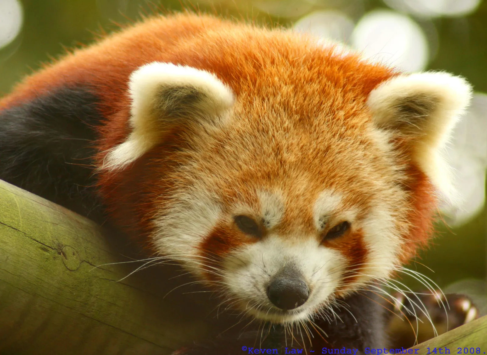 The Takeaway (Wakey, Wakey...sleepy head..., CC BY-SA 2.0)
