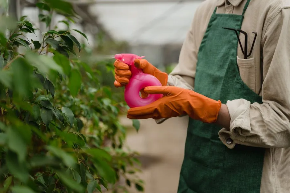 Organic Winter Washes and Garden Hygiene (Image Credits: Pexels)