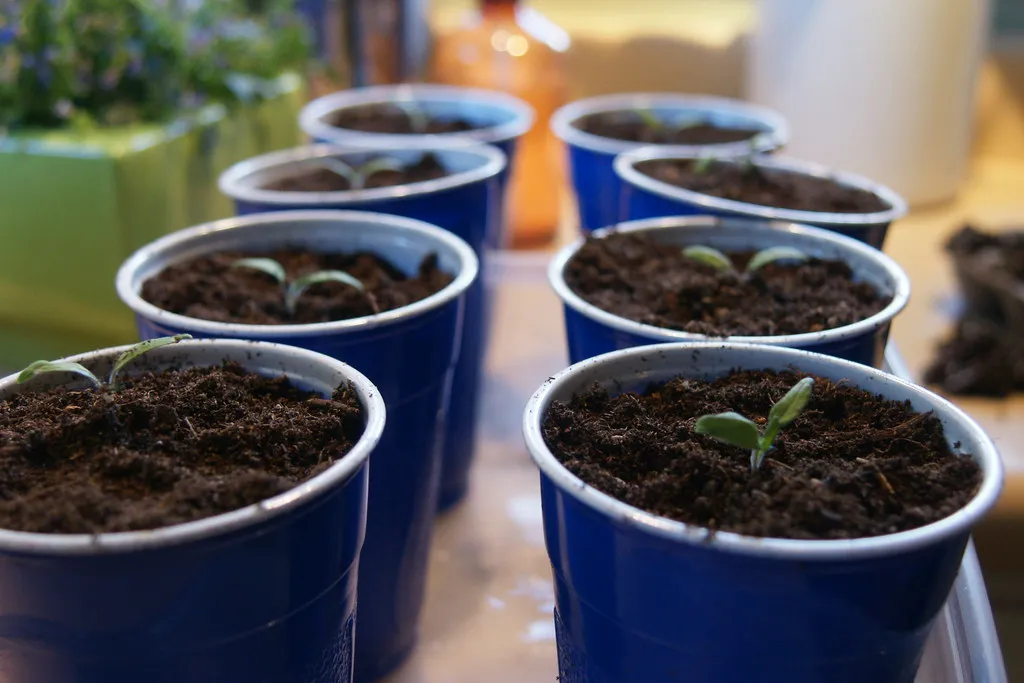 The Bigger Picture: Sustainability and Savings (feserc, Flickr, CC BY 2.0)