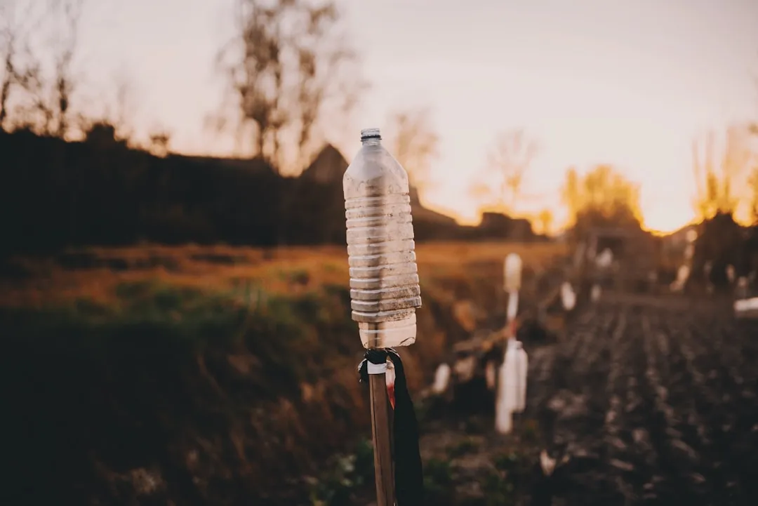 Filling the Bottle and Setting the Air Hole (Image Credits: Unsplash)