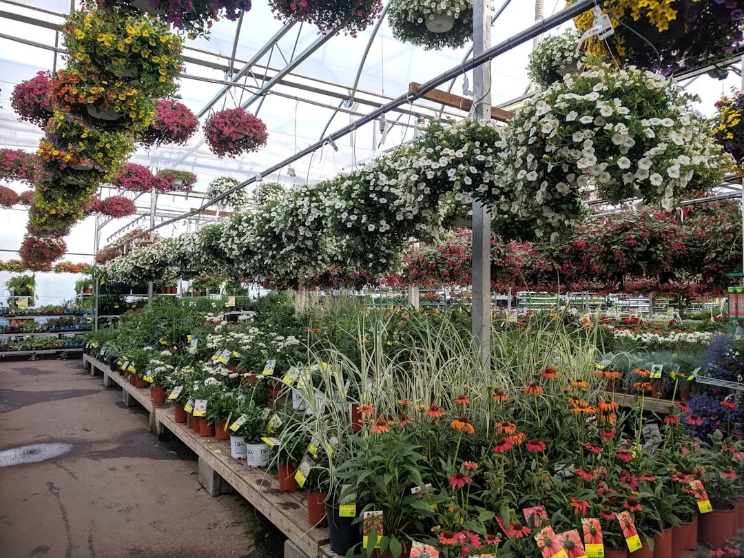 Why So Many Invasive Plants Are Still Being Sold (Image Credits: Unsplash)