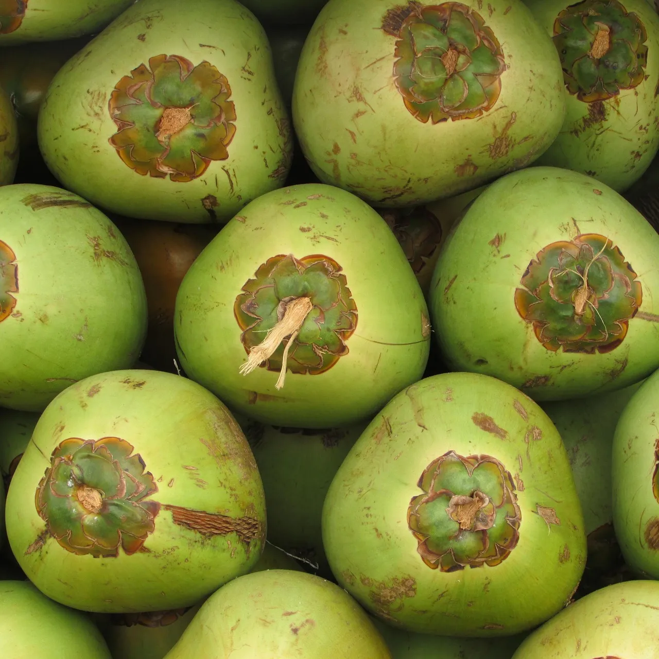 Almonds, Avocados, and Unexpected Drupes (Image Credits: Pixabay)