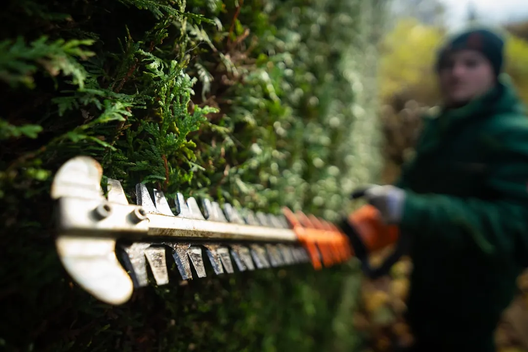 5. Cordless Hedge Trimmer: Safety and Motor Integrity Matter (Image Credits: Unsplash)