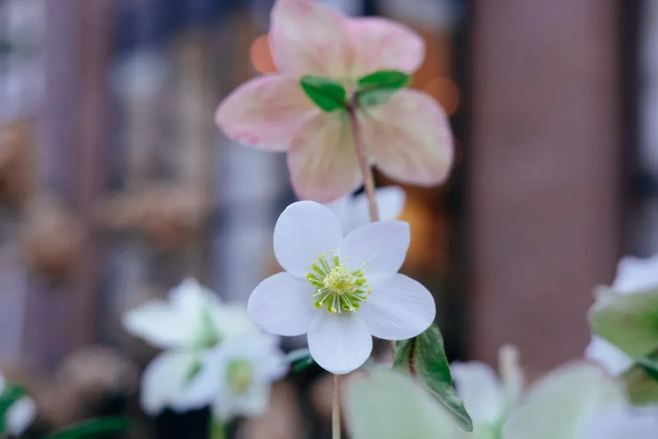 The Dual Signal: Cold First, Then Light (Image Credits: Pexels)