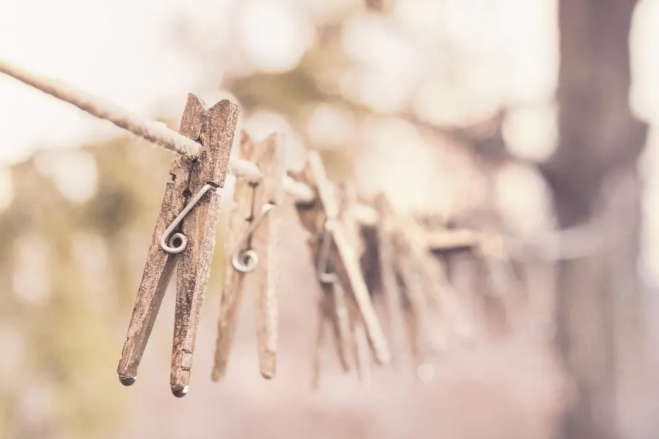 Sunlight as a Natural Disinfectant (Image Credits: Stocksnap)
