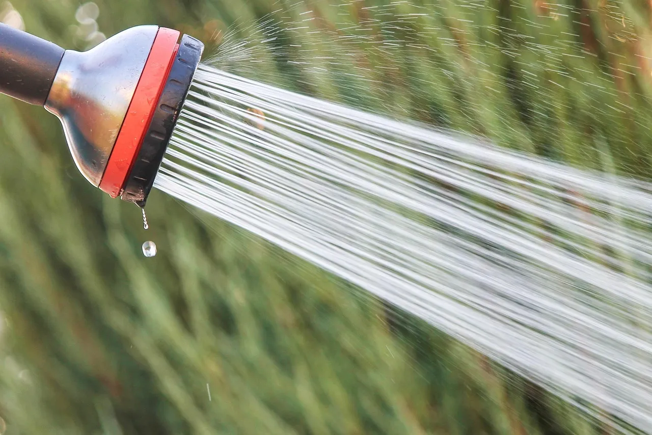 They Used Lukewarm Water, Not Scalding Hot (Image Credits: Pixabay)